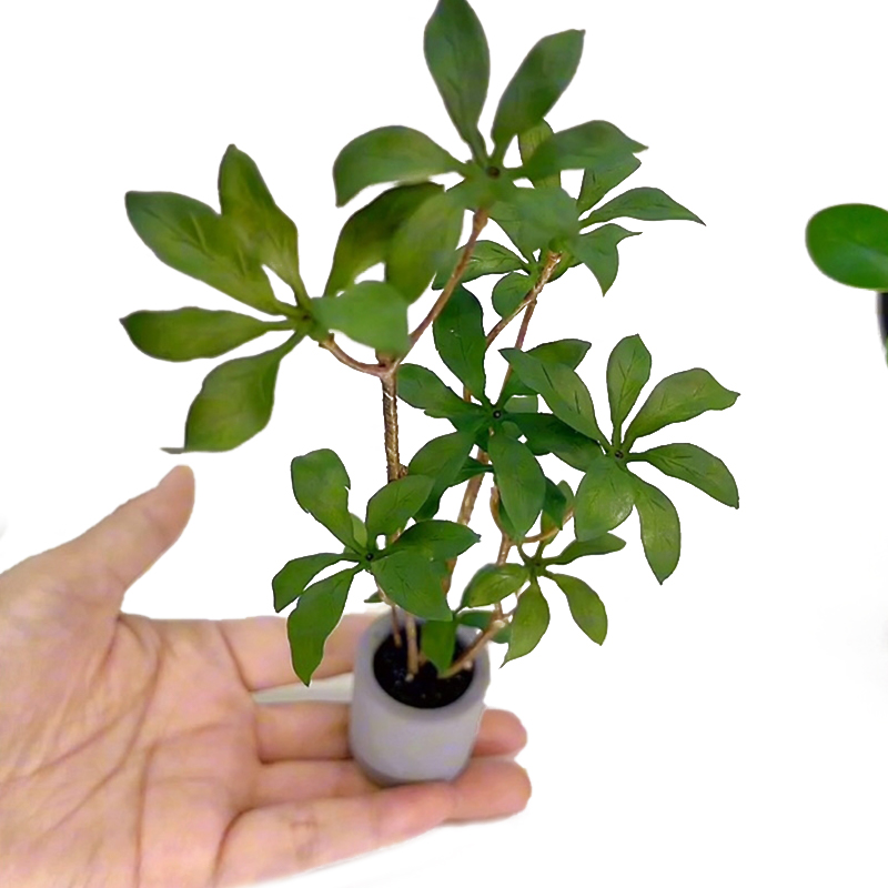 Bonsai Garden Accessories - Plantes miniatures en pot pour bonsaï,