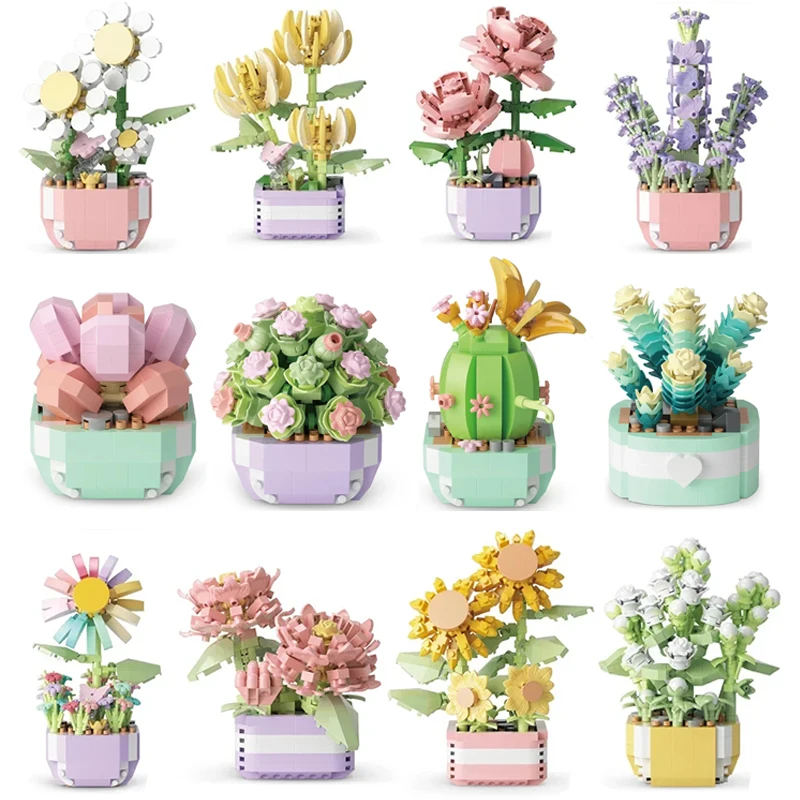 Bonsai Garden Kit - Blocs de construction de plantes succulentes,