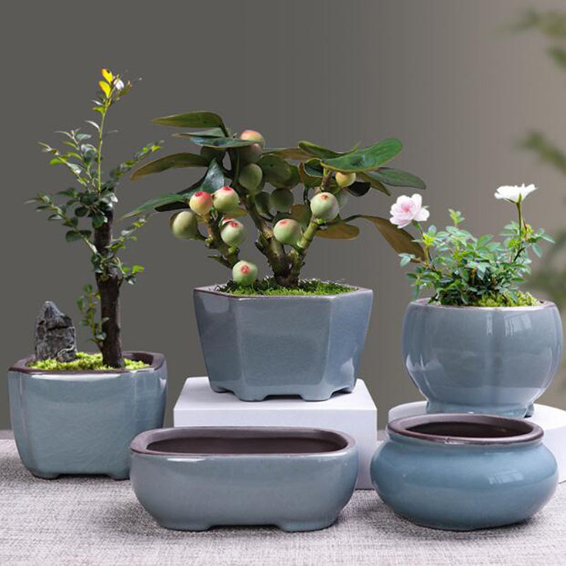 Bonsai Gardenia - Pot de fleur en céramique rétro,