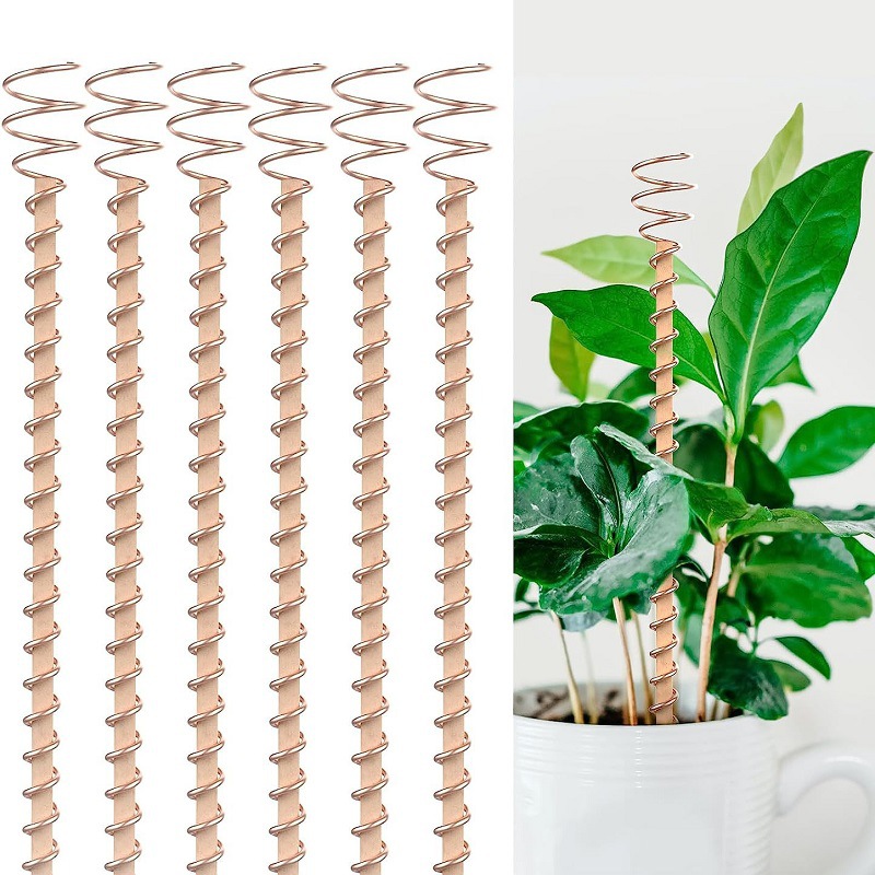 Bonsai Garden Accessories - Tiges de fixation en cuivre pour