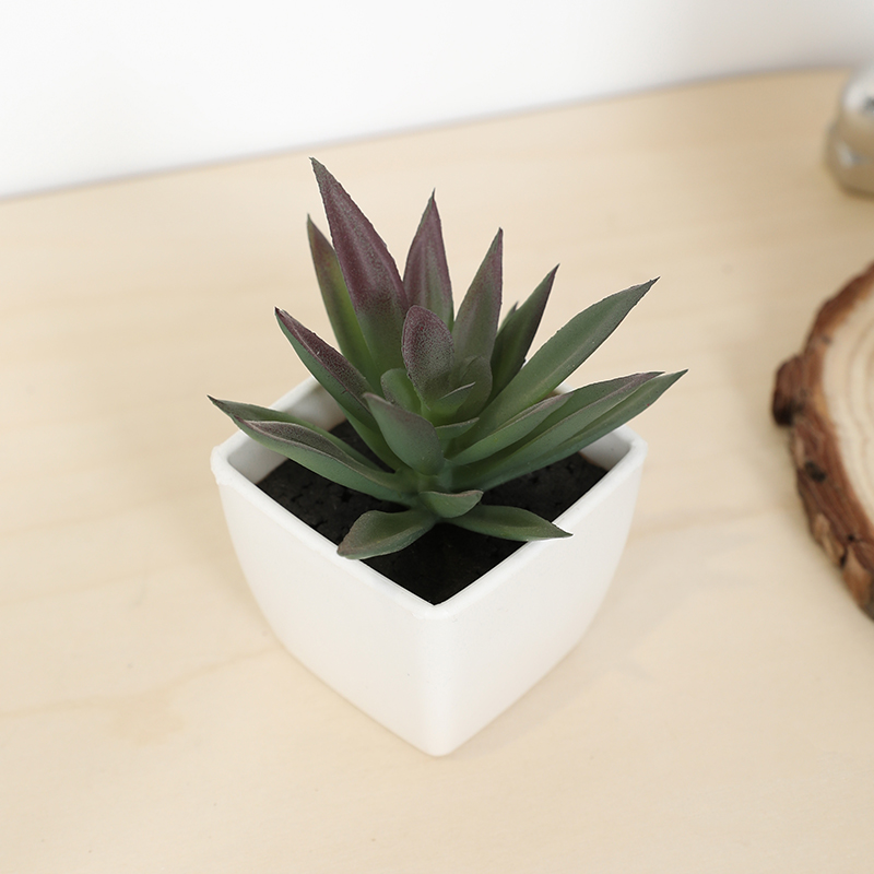 Bonsai Garden Kit - Mini tasse de fée succulente artificielle,
