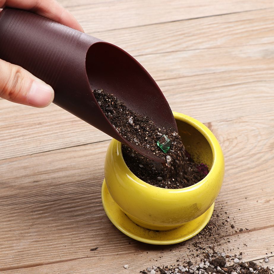 Bonsai Gardenia - Tasse de pelle à sol en