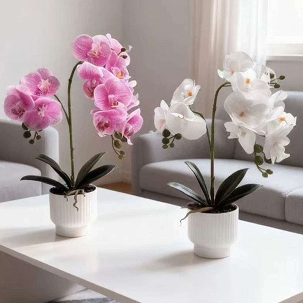 Orchidée Papillon Artificielle - Bonsai Garden Kit avis et prix
