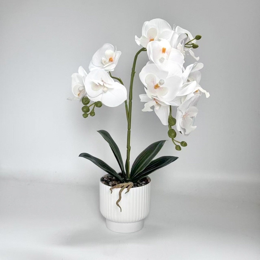 Orchidée Papillon Artificielle - Bonsai Garden Kit avis et prix