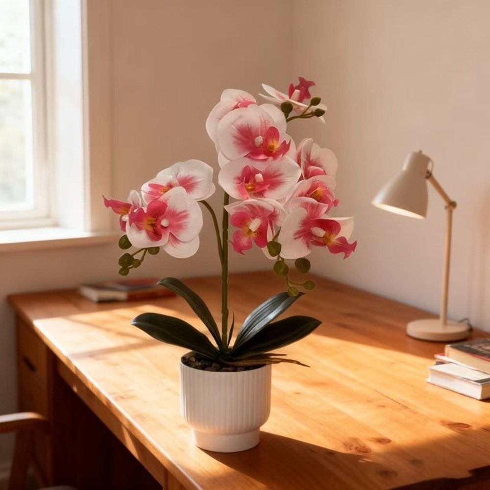 Orchidée Papillon Artificielle - Bonsai Garden Kit avis et prix