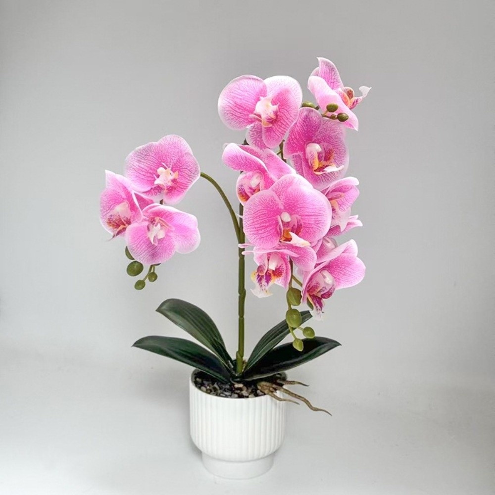 Orchidée Papillon Artificielle - Bonsai Garden Kit avis et prix