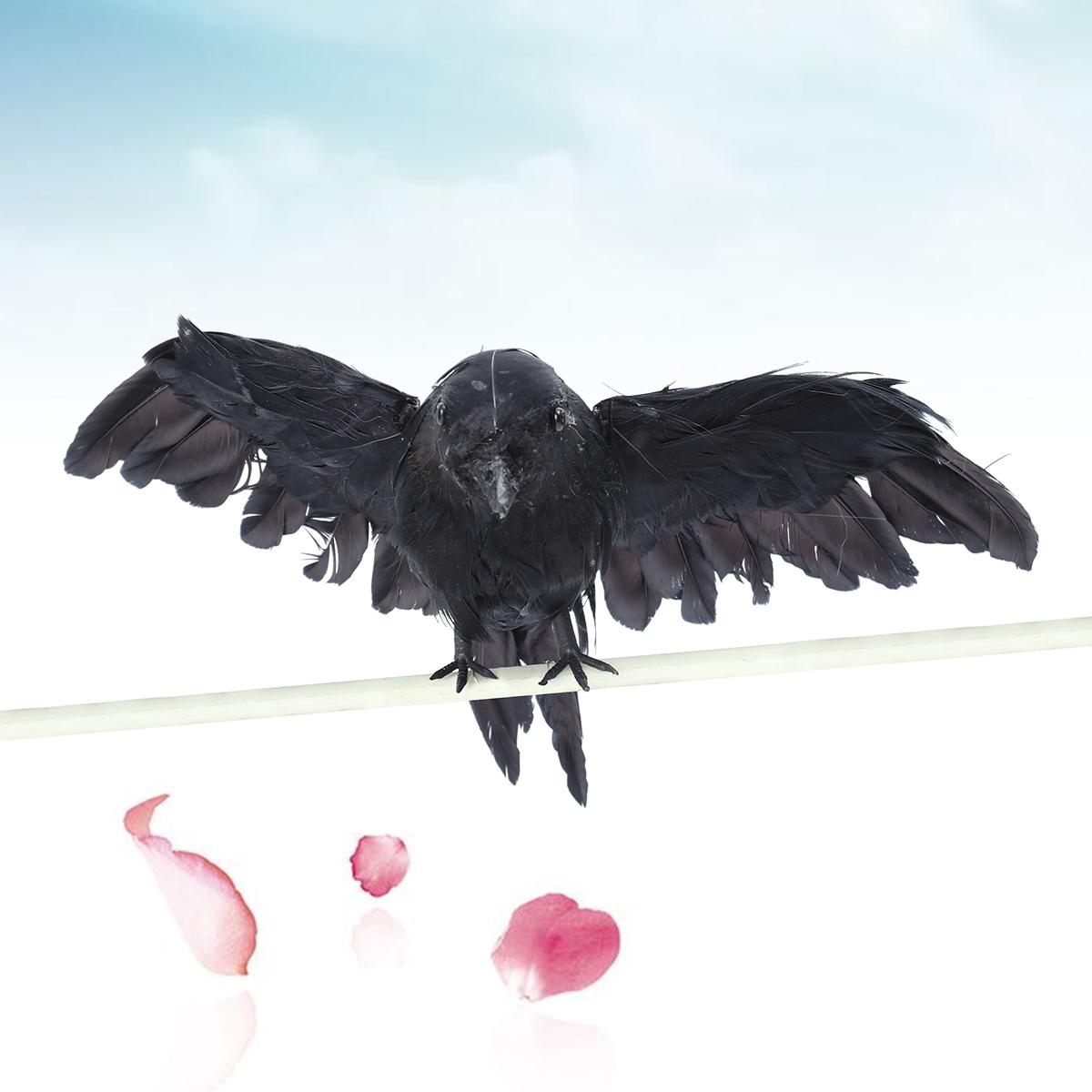 Accessoires de corbeau artific - Bonsai Garden Display avis et prix