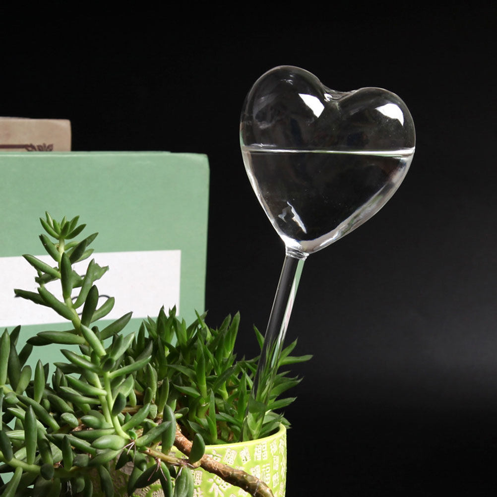 3 globes d'arrosage automatiqu - Bonsai Gardenia avis et prix