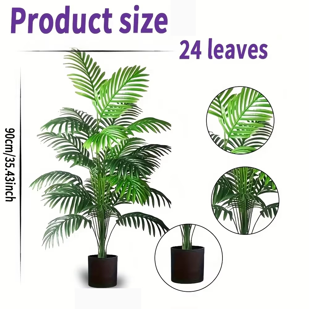 24 feuilles Areca palmier plan - Bonsai Garden Kit avis et prix