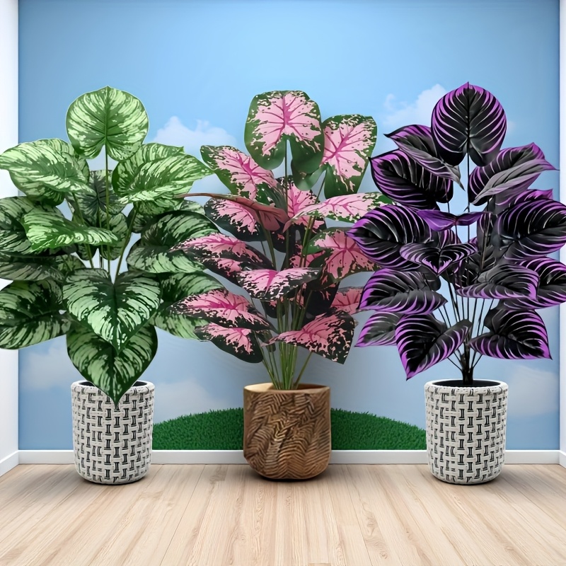 Grand ensemble de plantes vert - Bonsai Gardenia avis et prix