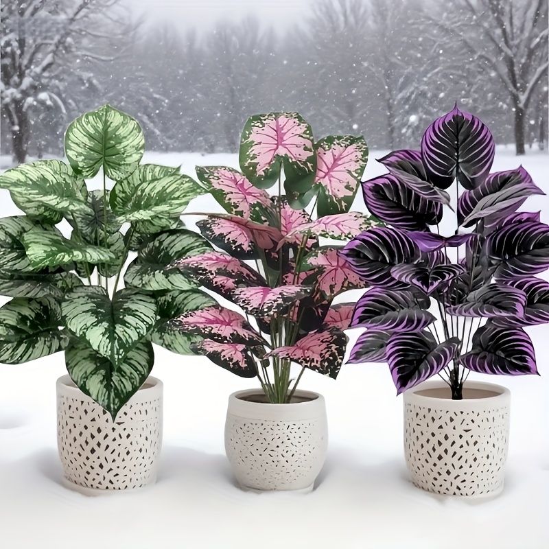 Grand ensemble de plantes vert - Bonsai Gardenia avis et prix