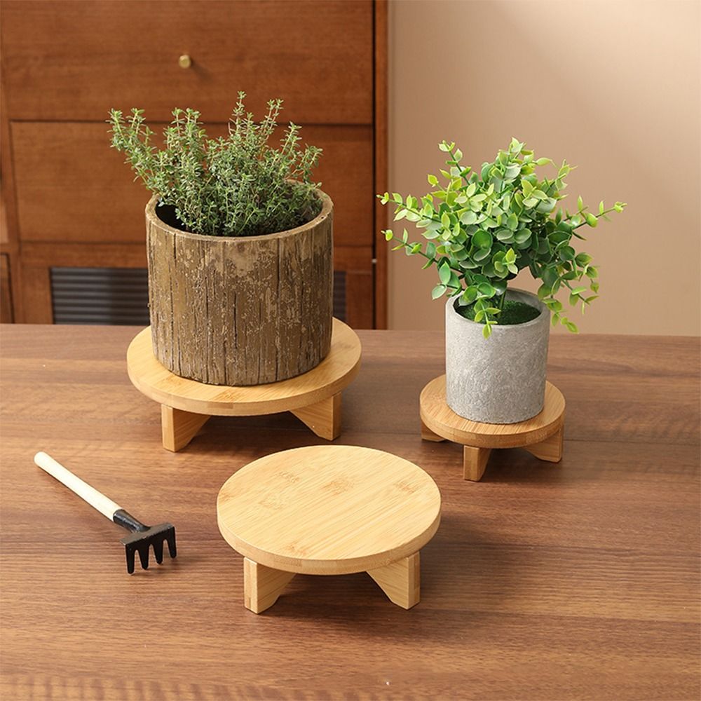 Présentoir de bonsaï en bois,  - Bonsai Garden Display avis et prix