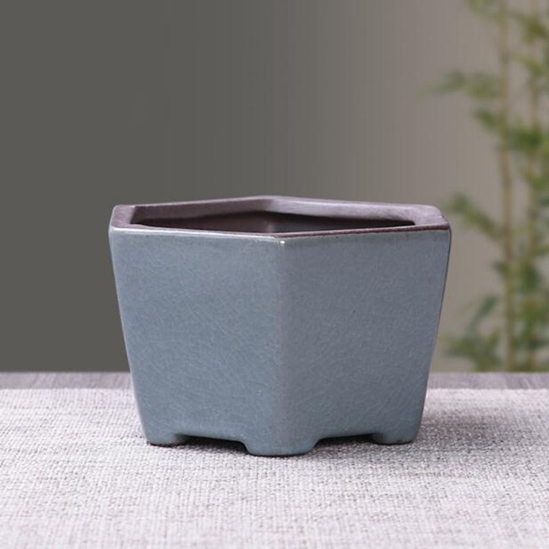 Pot de fleur en céramique rétr - Bonsai Gardenia avis et prix
