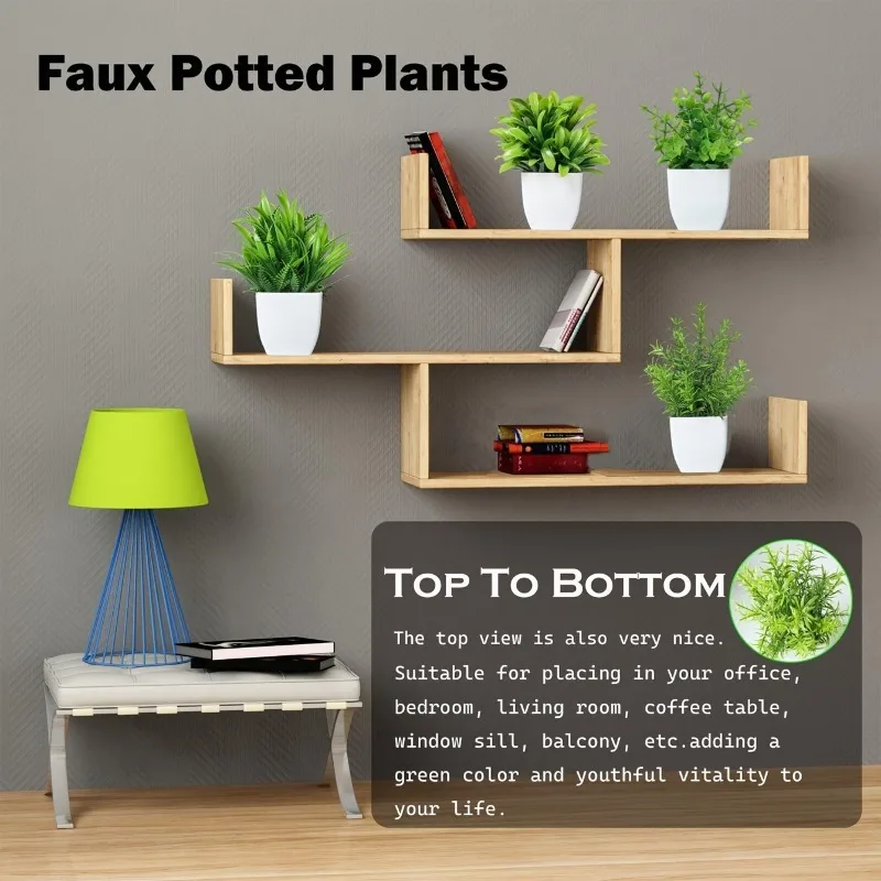 Mini plantes d'eucalyptus arti - Bonsai Garden Kit avis et prix