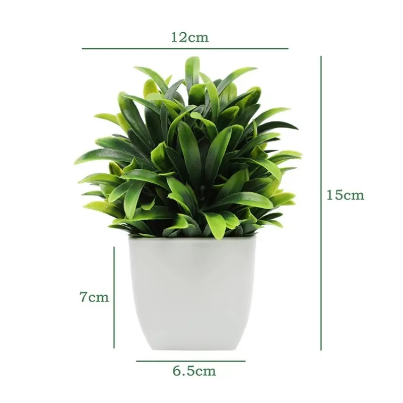 Mini plantes d'eucalyptus arti - Bonsai Garden Kit avis et prix