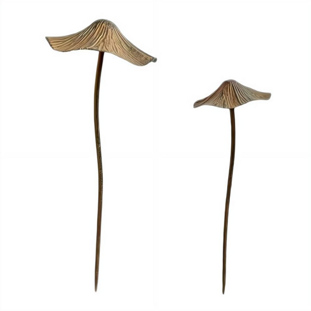 Ensemble de décoration de jard - Bonsai Garden Accessories avis et prix