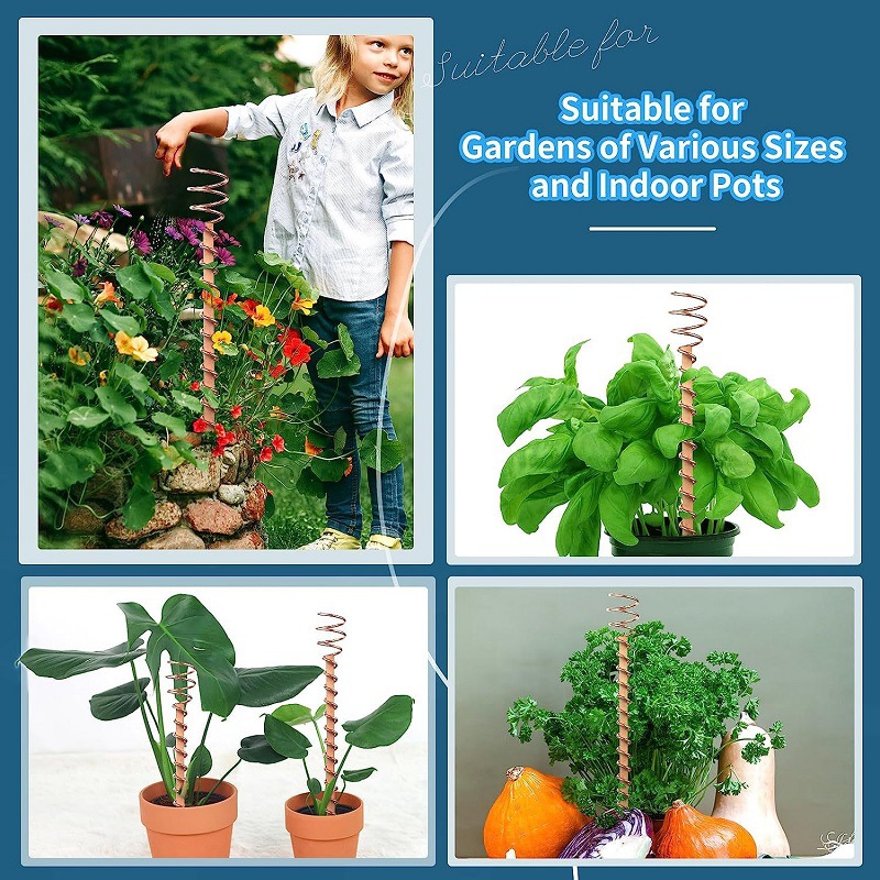Tiges de fixation en cuivre po - Bonsai Garden Accessories avis et prix