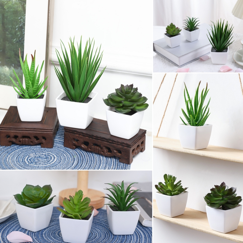 (Un ensemble de 3 pièces) de m - Bonsai Garden Kit avis et prix