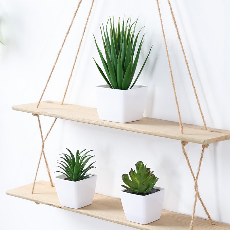 (Un ensemble de 3 pièces) de m - Bonsai Garden Kit avis et prix