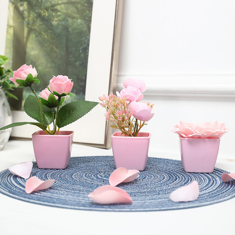 (Un ensemble de 3 pièces) de m - Bonsai Garden Kit avis et prix