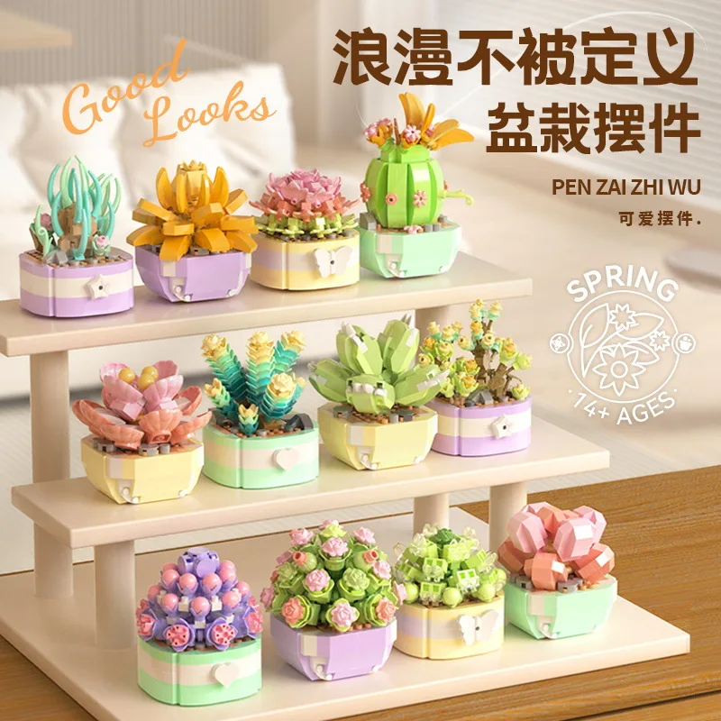 Décennie s de construction de  - Bonsai Garden Kit avis et prix