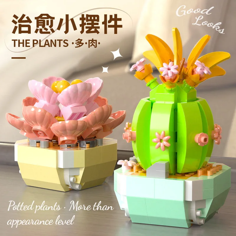 Décennie s de construction de  - Bonsai Garden Kit avis et prix