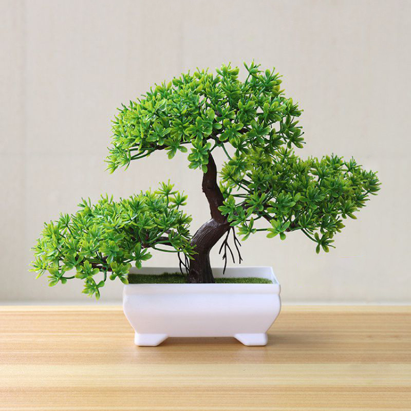 Arbre artificiel Bonsaï, plant - Bonsai Gardenia avis et prix
