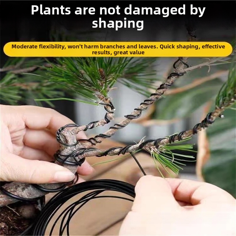 Fils de bonsaï en aluminium de - Bonsai Garden Accessories avis et prix