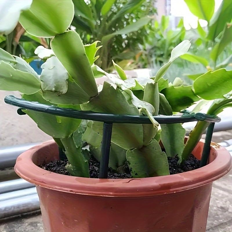 Support de plante en plastique - Bonsai Garden Accessories avis et prix
