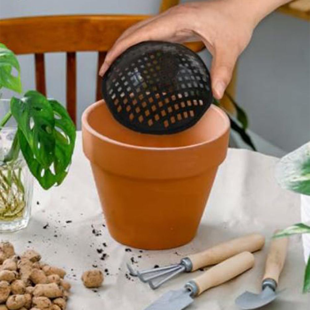 20/30 pièces de tampons en mai - Bonsai Garden Accessories avis et prix