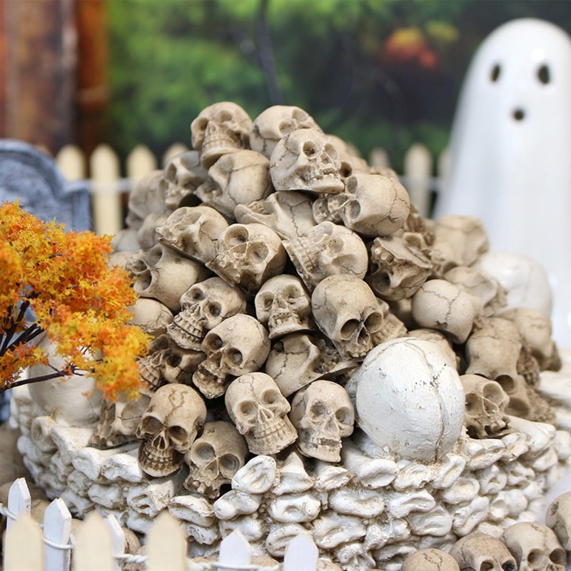 Figurines de crânes réalistes  - Bonsai Garden Display avis et prix