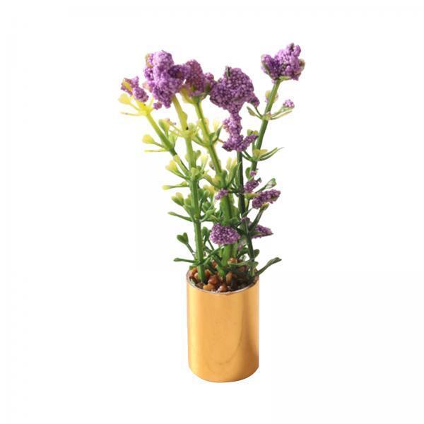 Ornement de plante miniature e - Bonsai Garden Display avis et prix