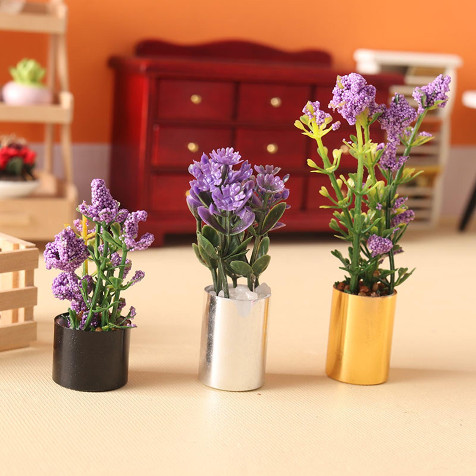 Ornement de plante miniature e - Bonsai Garden Display avis et prix