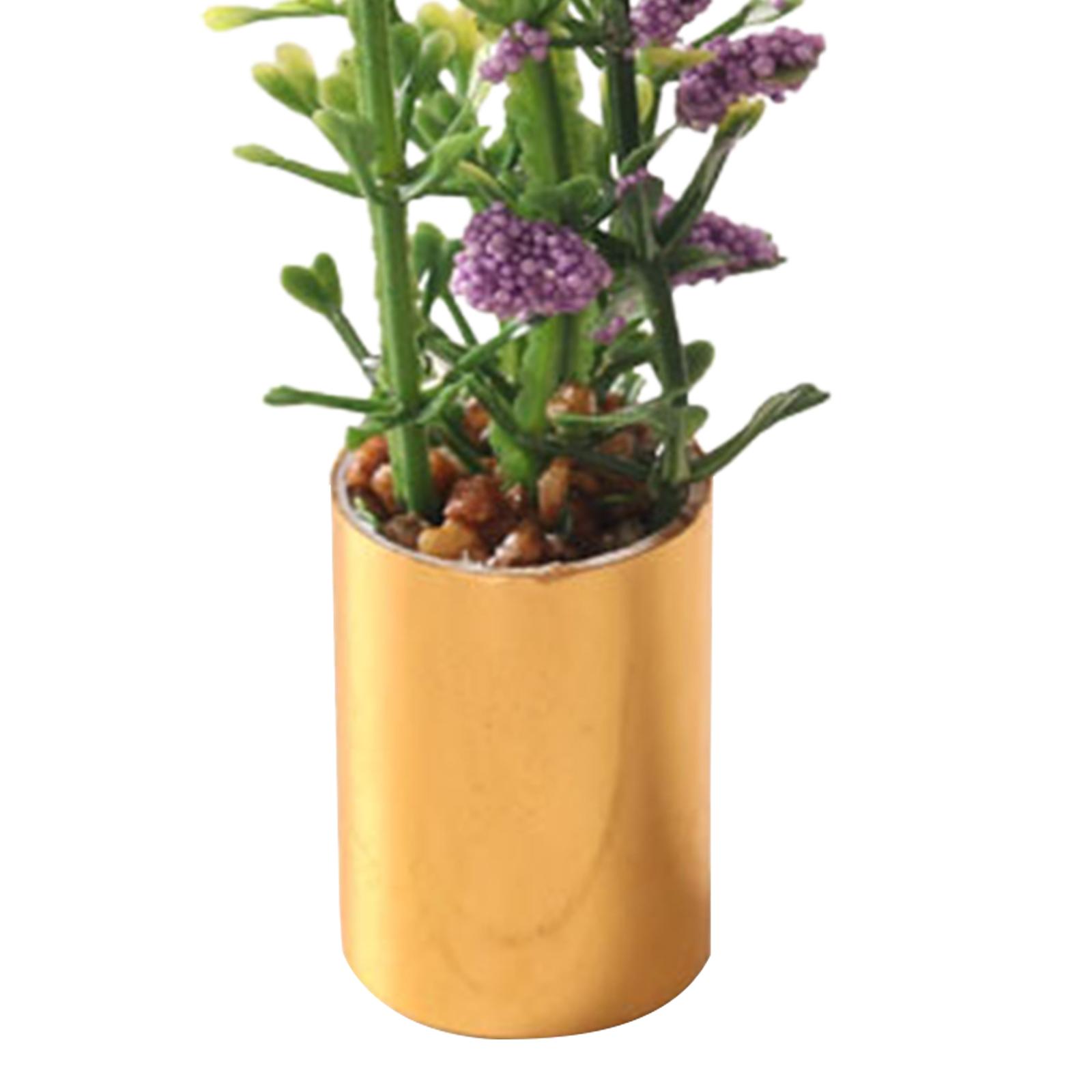 Ornement de plante miniature e - Bonsai Garden Display avis et prix