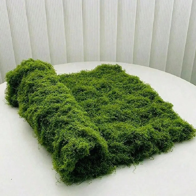 Mousse artificielle pour la dé - Bonsai Garden Kit avis et prix