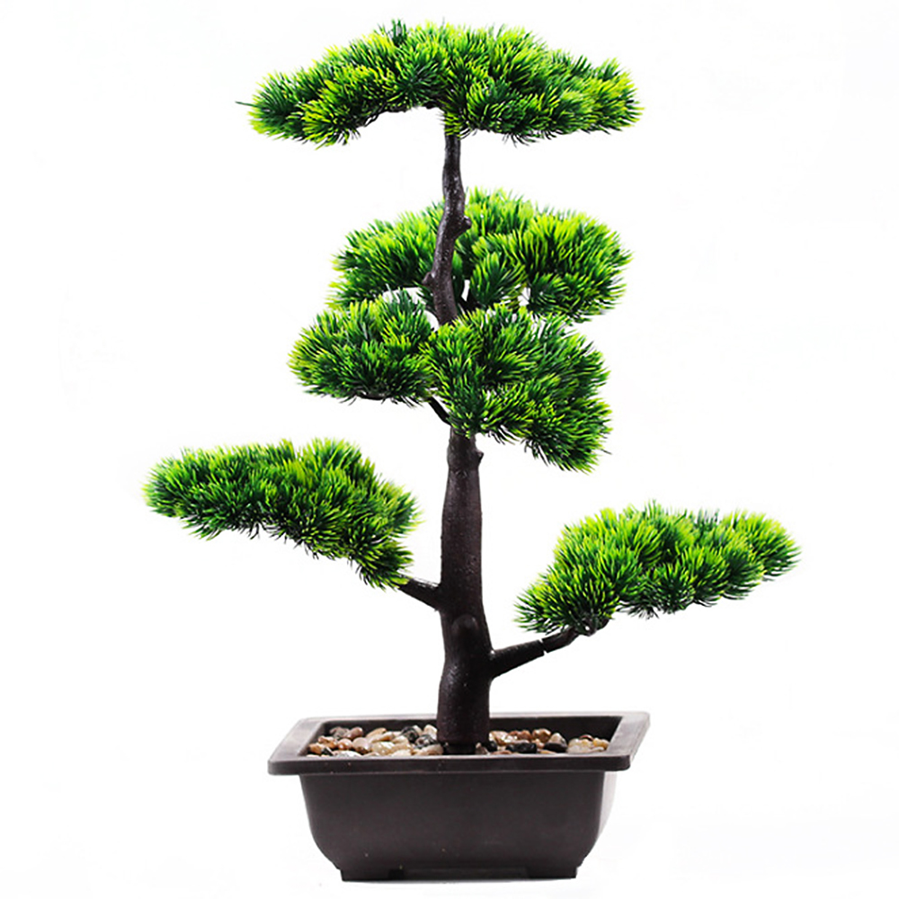 Plantes artificielles beauté p - Bonsai Garden Kit avis et prix