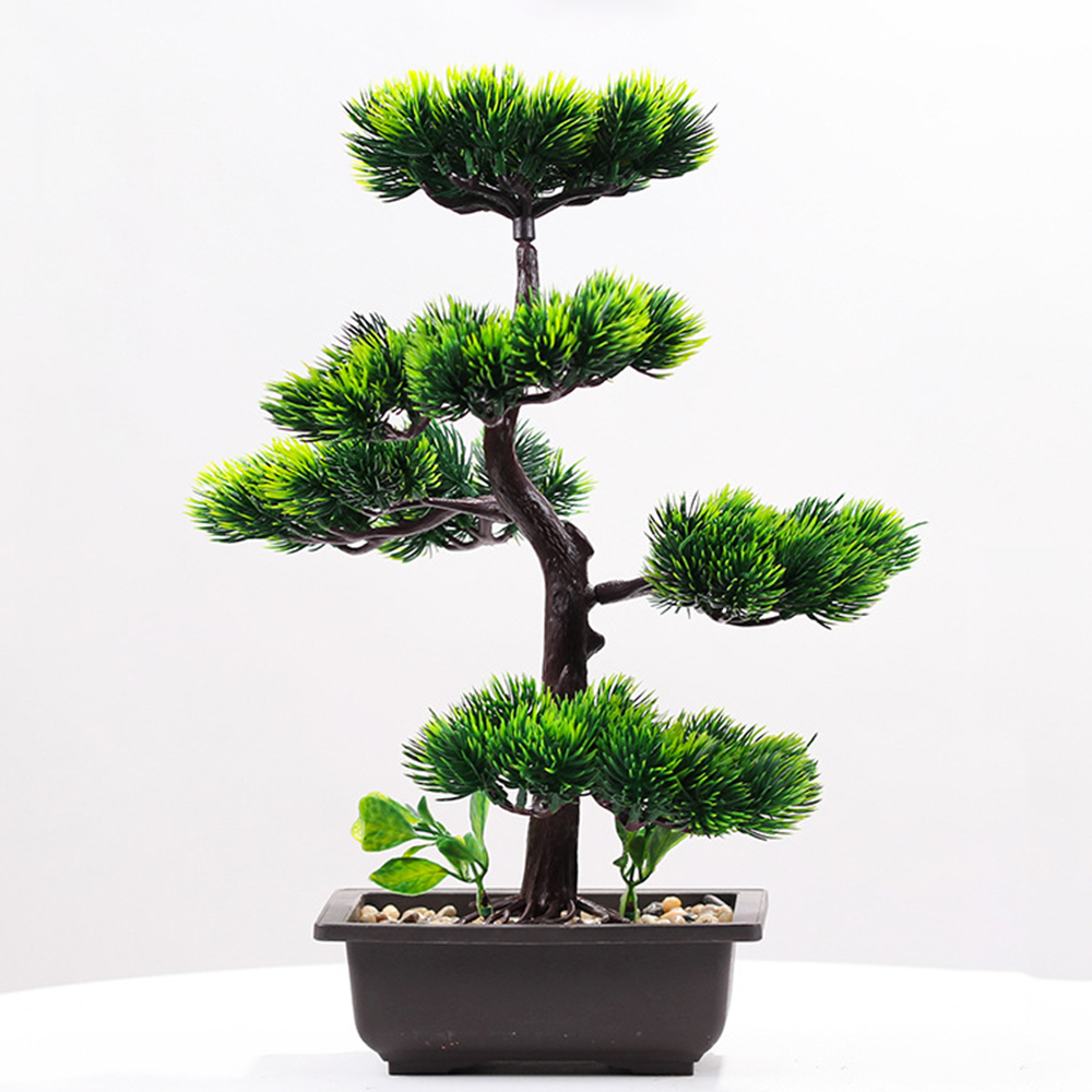 Plantes artificielles beauté p - Bonsai Garden Kit avis et prix
