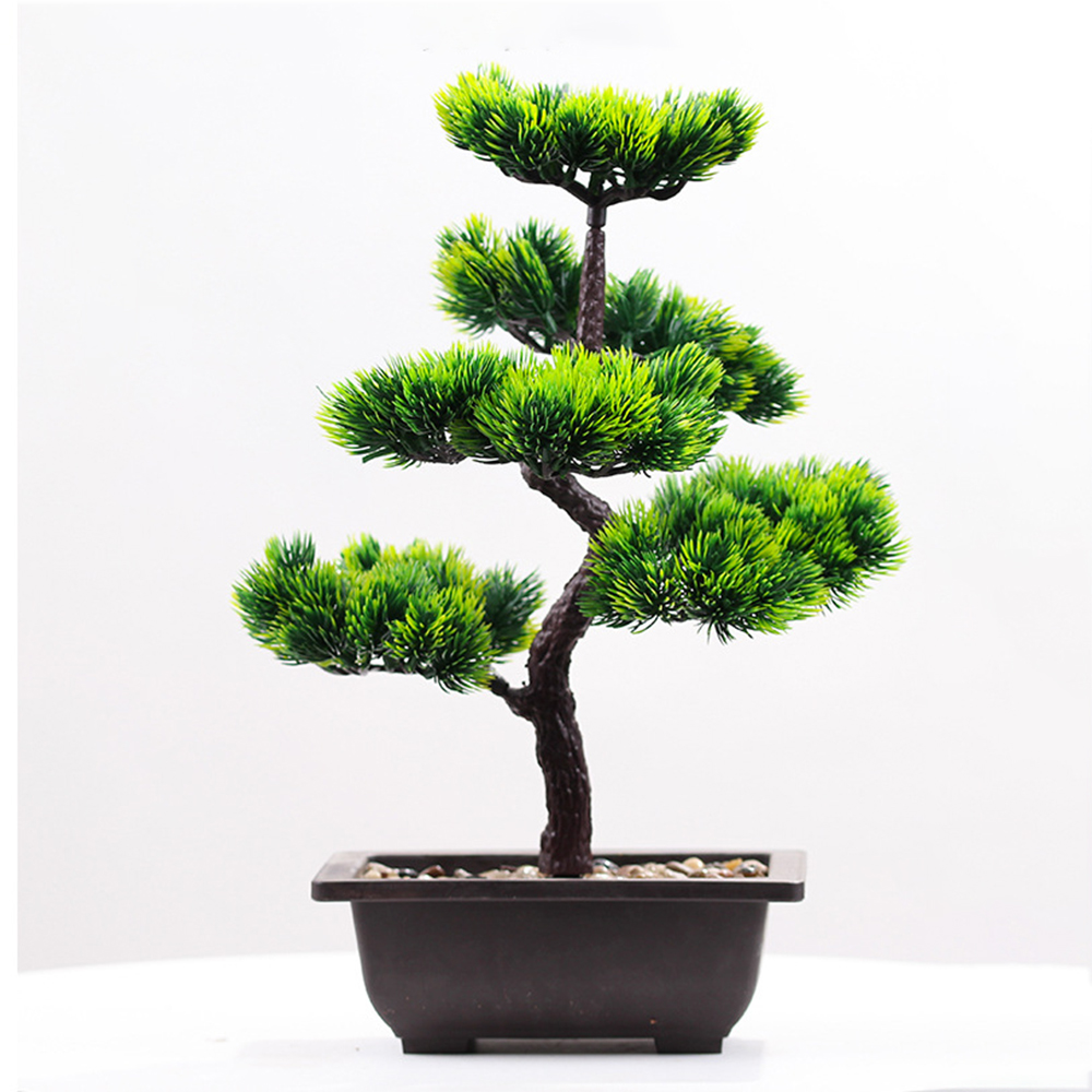 Plantes artificielles beauté p - Bonsai Garden Kit avis et prix