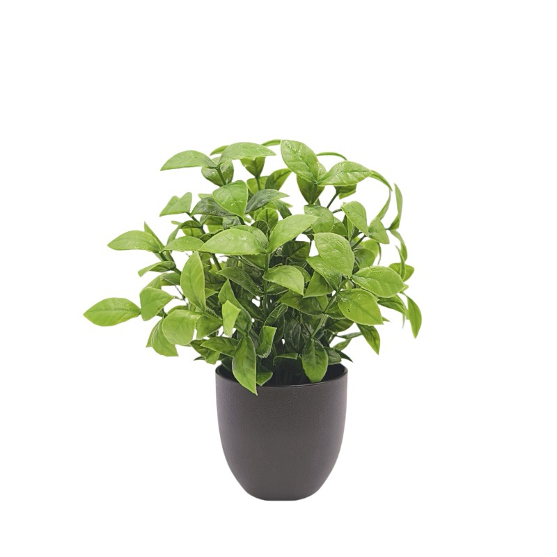 Plante verte artificielle, bon - Bonsai Garden Kit avis et prix
