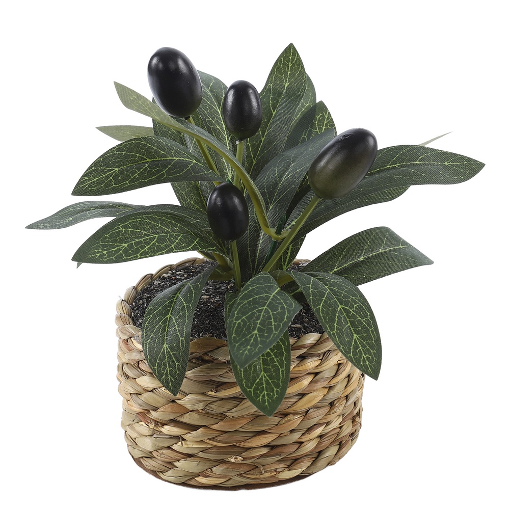 Plantes artificielles, olivier - Bonsai Garden Kit avis et prix
