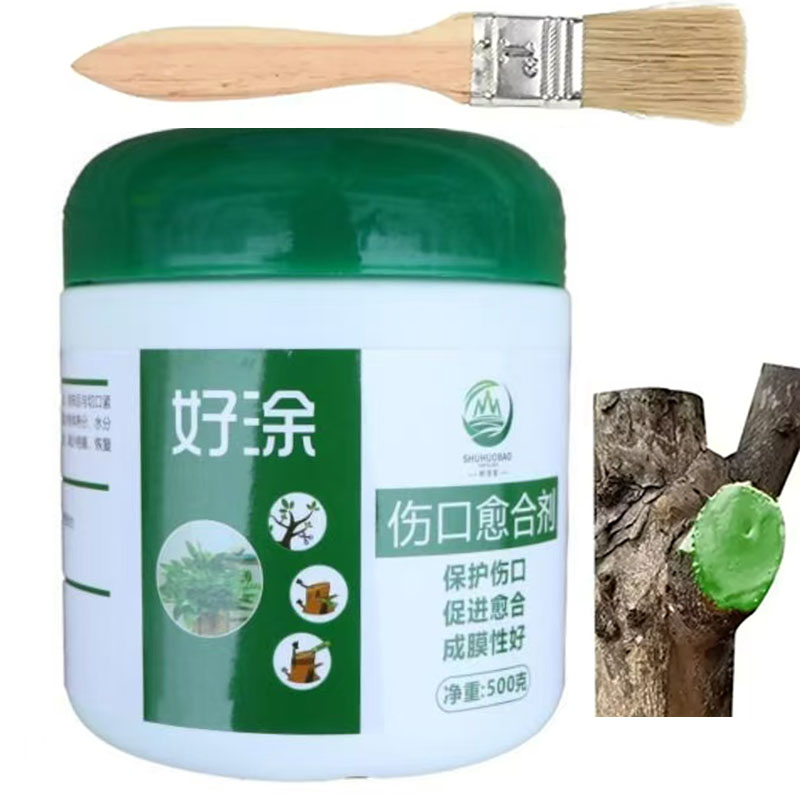 Pâte de coupe de bonsaï pour p - Bonsai Garden Accessories avis et prix