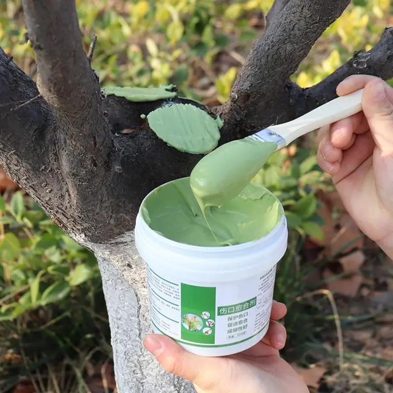 Pâte de coupe de bonsaï pour p - Bonsai Garden Accessories avis et prix
