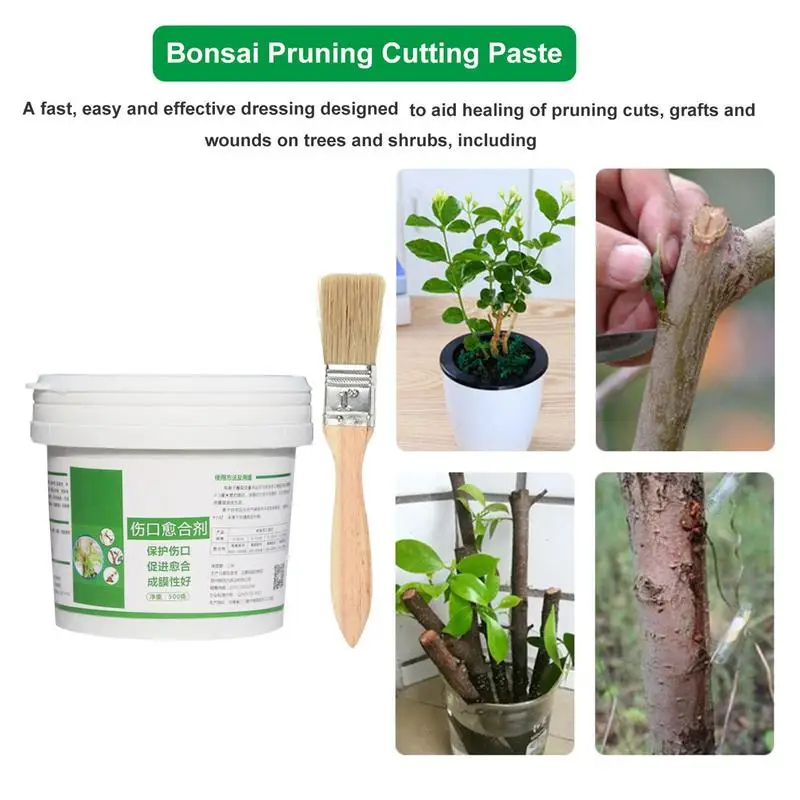 Pâte de coupe de bonsaï pour p - Bonsai Garden Accessories avis et prix