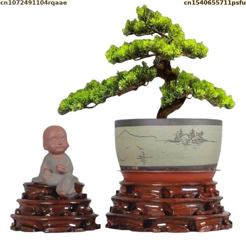 Vase de Base de Fleur Debout d - Bonsai Garden Display avis et prix