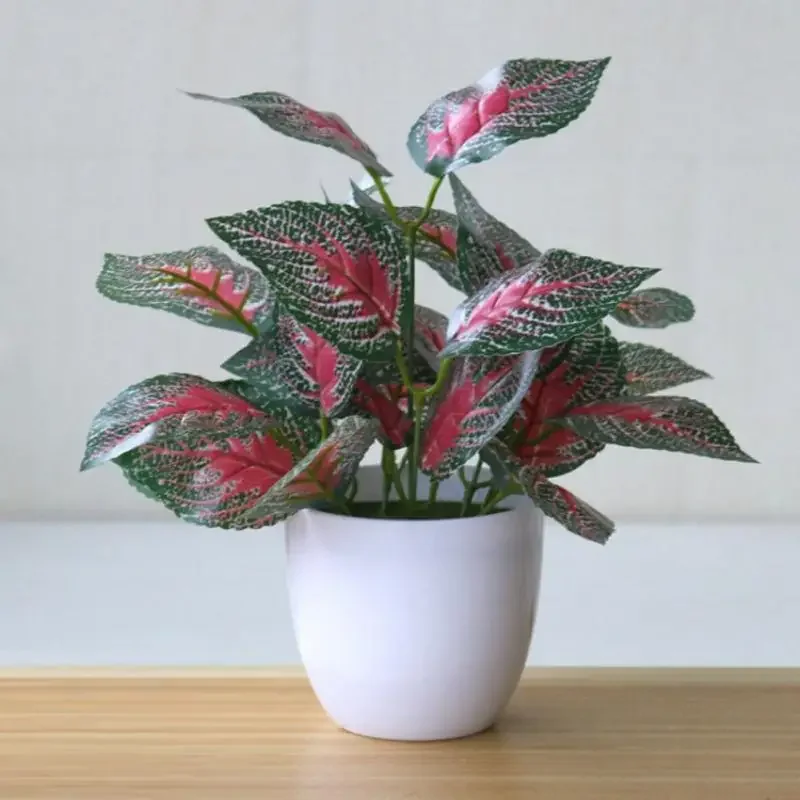 Plantes artificielles bonsaï f - Bonsai Garden Kit avis et prix