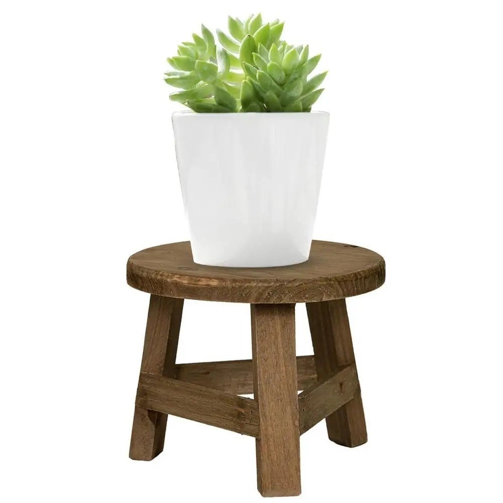 Support moderne pour bonsaï, m - Bonsai Garden Display avis et prix