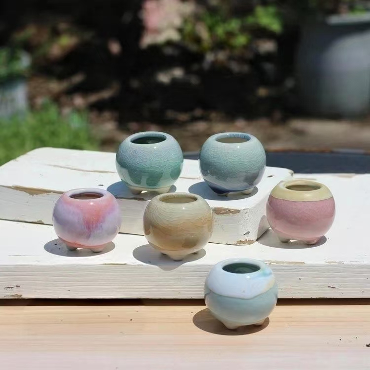 6 pièces Mini pot de fleurs su - Bonsai Gardenia avis et prix