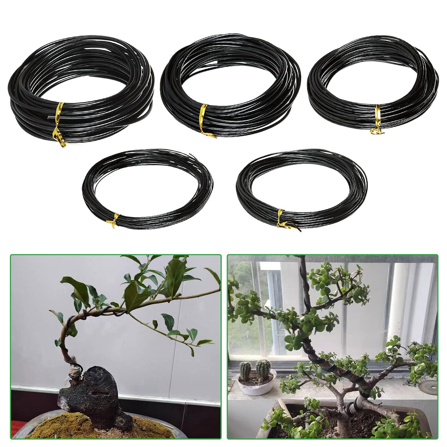 Fil de Soutien pour Bonsaï en  - Bonsai Garden Accessories avis et prix