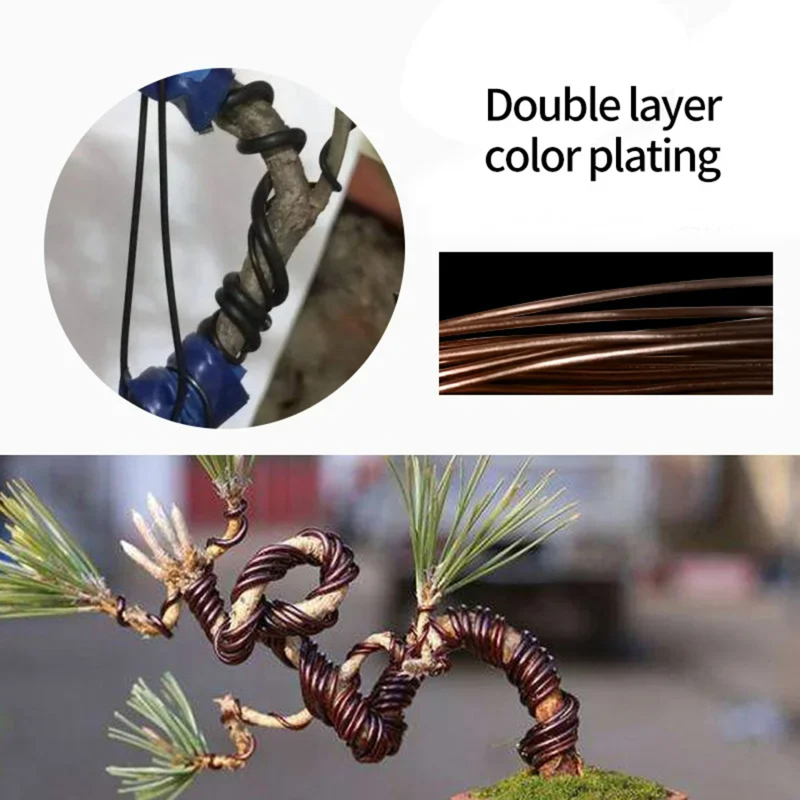 Fil de bonsaï de 5m, support p - Bonsai Garden Accessories avis et prix