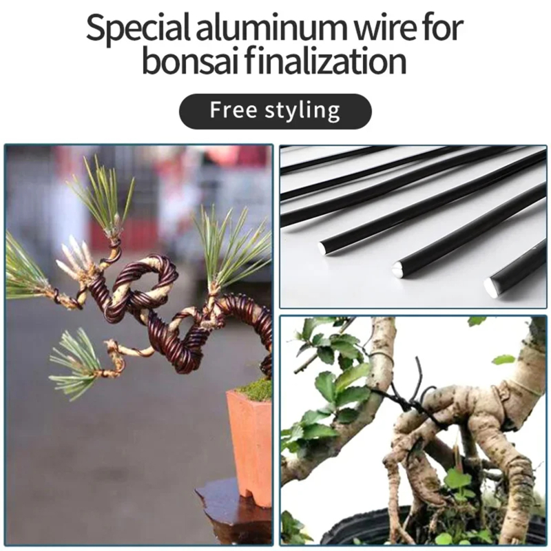 Fil de bonsaï de 5m, support p - Bonsai Garden Accessories avis et prix